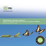 Photo of Information Lifecycle Support: Wisdom, Knowledge, Information and Data Management (WKIDM)