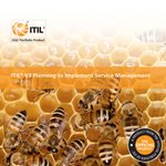 Photo of ITIL® Planning to Implement Service Management (PISM) 